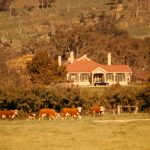 Landscape 1958, September, Reg Newton's