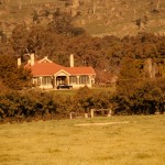 Landscape 1958, September, Reg Newton's